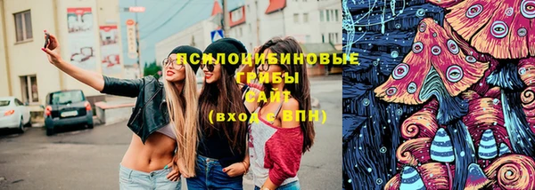 ПСИЛОЦИБИНОВЫЕ ГРИБЫ Володарск