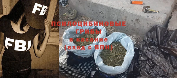 ПСИЛОЦИБИНОВЫЕ ГРИБЫ Володарск